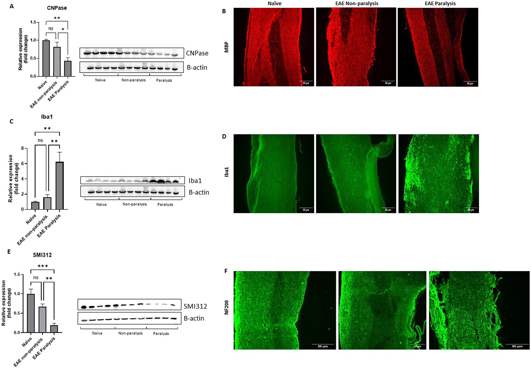 https://cdn.ncbi.nlm.nih.gov/pmc/blobs/1c6d/11956544/8debfb0ac9e5/nihms-2066691-f0002.jpg