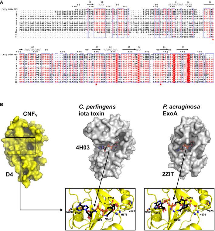 https://cdn.ncbi.nlm.nih.gov/pmc/blobs/1c6e/7883292/b939be61bf83/EMBJ-40-e105202-g007.jpg