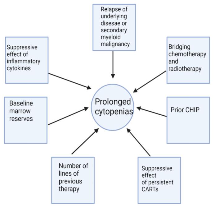https://cdn.ncbi.nlm.nih.gov/pmc/blobs/1c6e/8946106/46333c4391d6/cancers-14-01501-g001.jpg