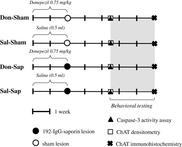 https://cdn.ncbi.nlm.nih.gov/pmc/blobs/1c6f/3978431/3d7456dd62b4/alzrt215-1.jpg