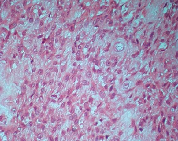 https://cdn.ncbi.nlm.nih.gov/pmc/blobs/1c6f/4409198/6f627f090240/JOMFP-18-464-g006.jpg