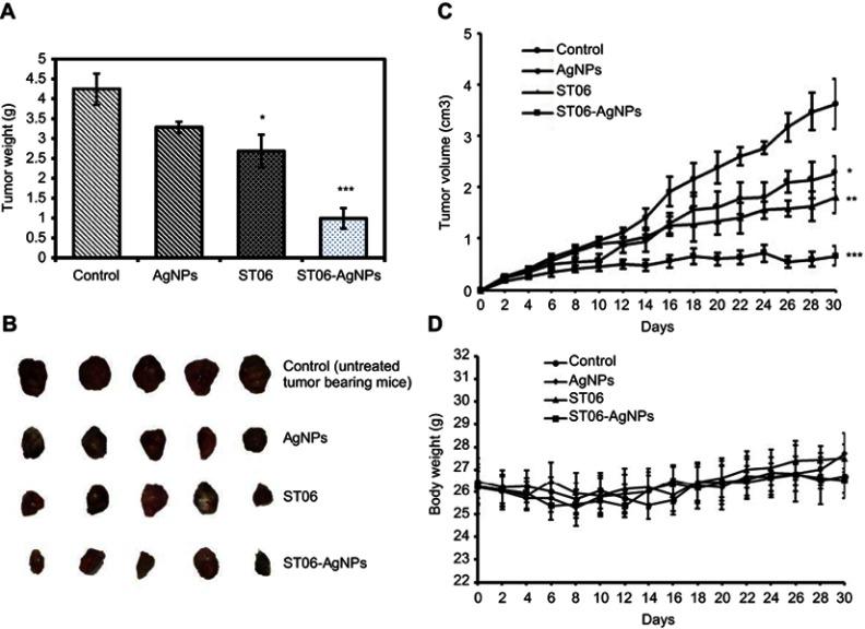 https://cdn.ncbi.nlm.nih.gov/pmc/blobs/1c6f/6646051/e43948600127/IJN-14-5257-g0005.jpg