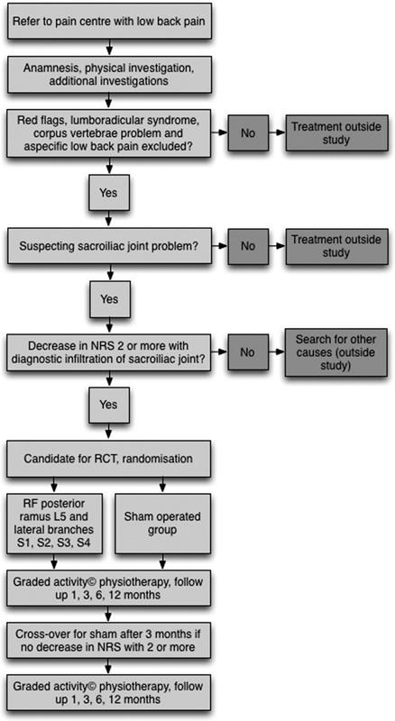 https://cdn.ncbi.nlm.nih.gov/pmc/blobs/1c72/5640001/f0d4bdb3f7d3/ajp-32-921-g001.jpg