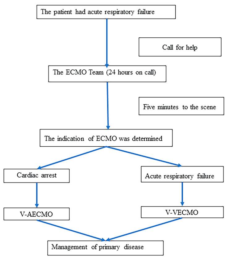 https://cdn.ncbi.nlm.nih.gov/pmc/blobs/1c73/10804502/b1adad89f700/13019_2024_2482_Fig1_HTML.jpg