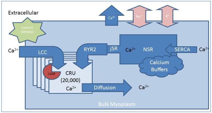 https://cdn.ncbi.nlm.nih.gov/pmc/blobs/1c74/9855640/d8ba78d201b5/biomolecules-13-00072-g002.jpg