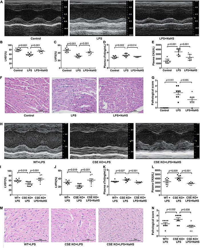 https://cdn.ncbi.nlm.nih.gov/pmc/blobs/1c75/8220204/4d6a468b380f/fphys-12-653601-g004.jpg