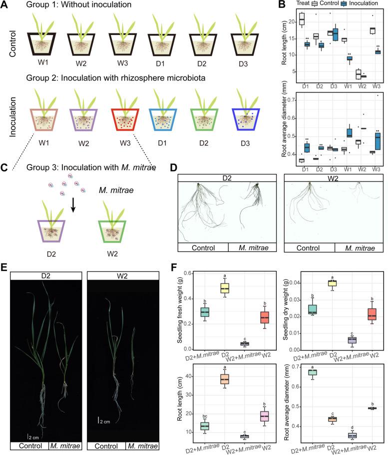 https://cdn.ncbi.nlm.nih.gov/pmc/blobs/1c77/10064753/ff87b6666440/40168_2023_1513_Fig6_HTML.jpg