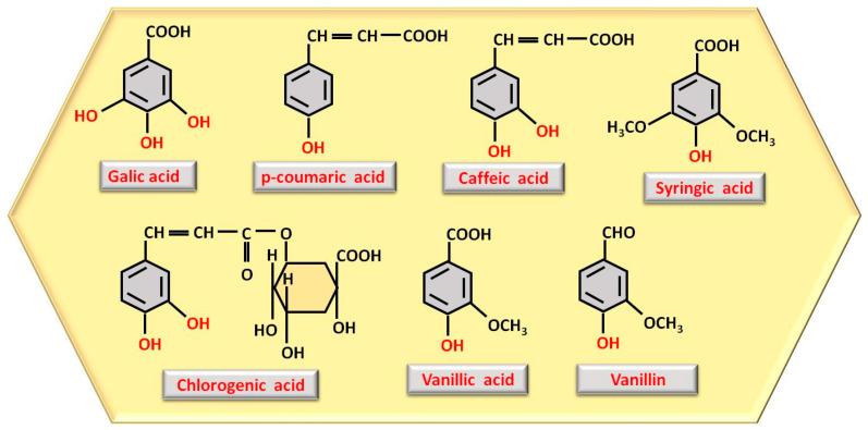 https://cdn.ncbi.nlm.nih.gov/pmc/blobs/1c77/12074252/8e49b0ca2b3f/nutrients-17-01595-g001.jpg