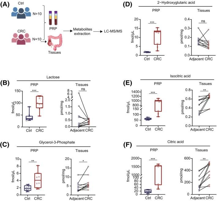https://cdn.ncbi.nlm.nih.gov/pmc/blobs/1c78/12161463/ec645b59d0df/MOL2-19-1737-g003.jpg