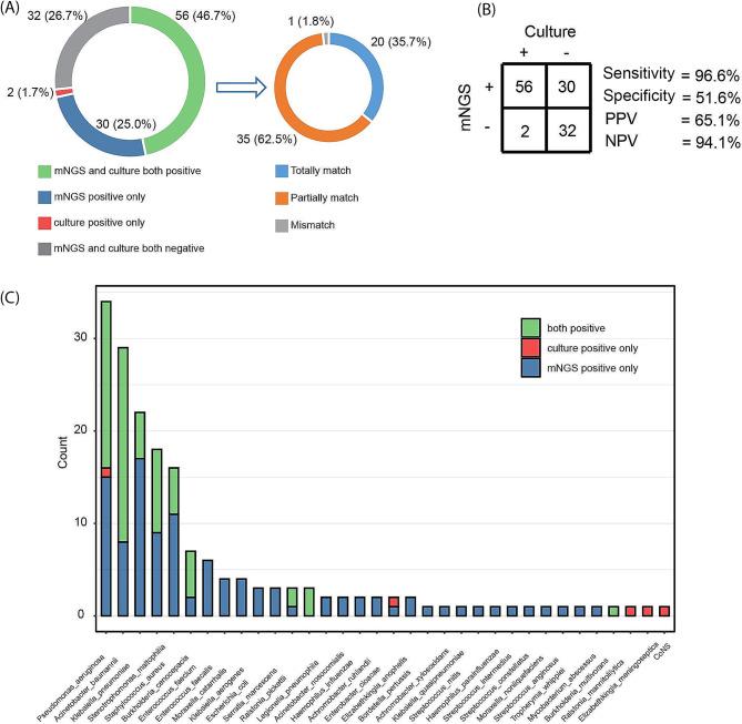 https://cdn.ncbi.nlm.nih.gov/pmc/blobs/1c79/11020437/130efc84ecbd/12941_2024_690_Fig2_HTML.jpg