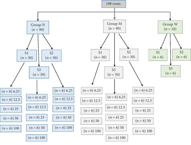 https://cdn.ncbi.nlm.nih.gov/pmc/blobs/1c79/7049449/6975414e679e/BMRI2020-2128473.002.jpg