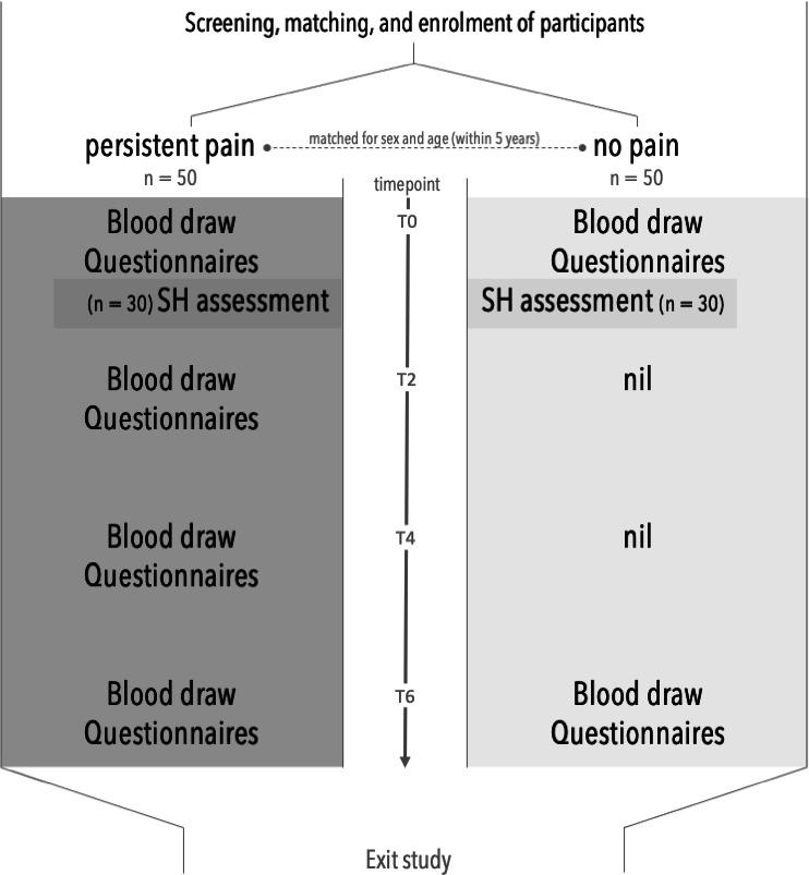 https://cdn.ncbi.nlm.nih.gov/pmc/blobs/1c79/9171212/c6ce4f2f058c/bmjopen-2021-059723f02.jpg