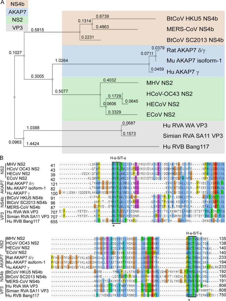 https://cdn.ncbi.nlm.nih.gov/pmc/blobs/1c7c/8406329/39b3a67ec7a1/mbio.01781-21-f002.jpg