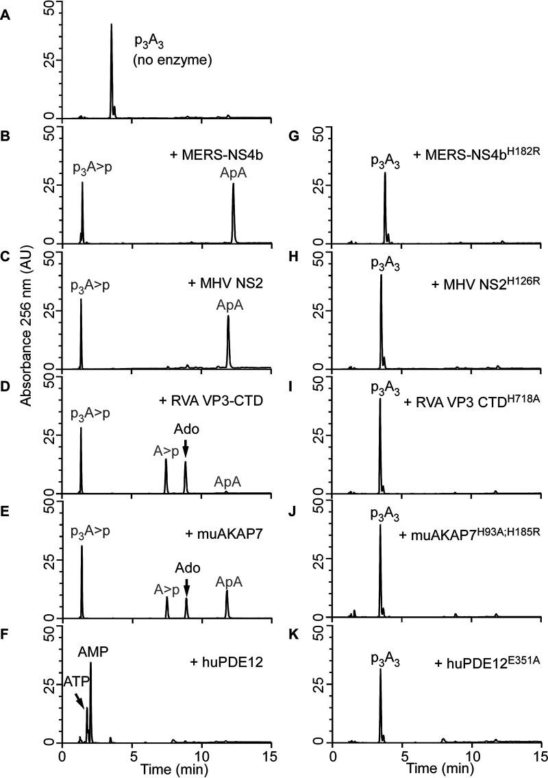 https://cdn.ncbi.nlm.nih.gov/pmc/blobs/1c7c/8406329/742e45ce1e07/mbio.01781-21-f003.jpg