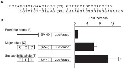 https://cdn.ncbi.nlm.nih.gov/pmc/blobs/1c7d/2820513/9286f9cfe4e6/pgen.1000842.g003.jpg