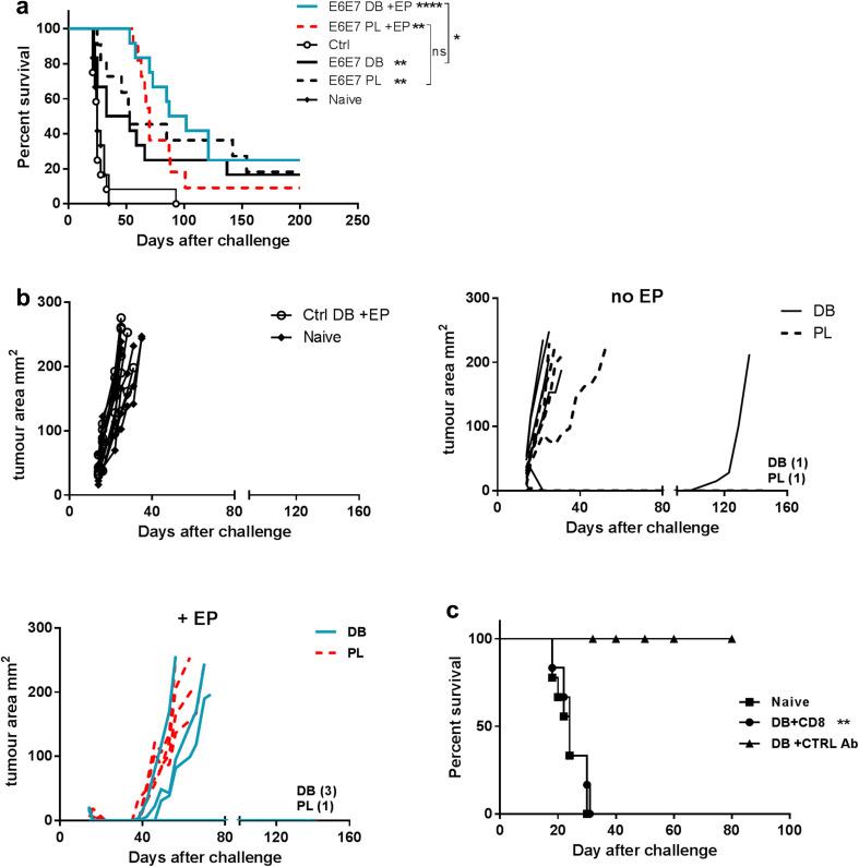 https://cdn.ncbi.nlm.nih.gov/pmc/blobs/1c7e/11028114/6d93530b4ee3/262_2017_2111_Fig2_HTML.jpg