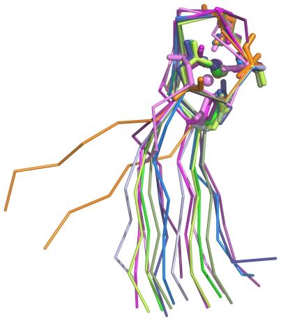 https://cdn.ncbi.nlm.nih.gov/pmc/blobs/1c7e/3123361/e4a9b74bc633/pone.0021507.g004.jpg
