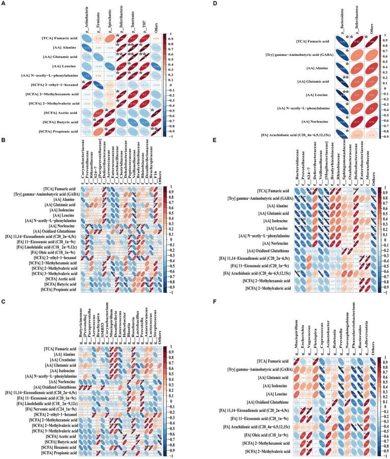 https://cdn.ncbi.nlm.nih.gov/pmc/blobs/1c7f/10465304/934356c3cfdc/fmicb-14-1219763-g008.jpg