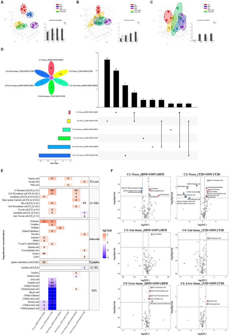 https://cdn.ncbi.nlm.nih.gov/pmc/blobs/1c7f/10465304/b295e13bb9a1/fmicb-14-1219763-g005.jpg