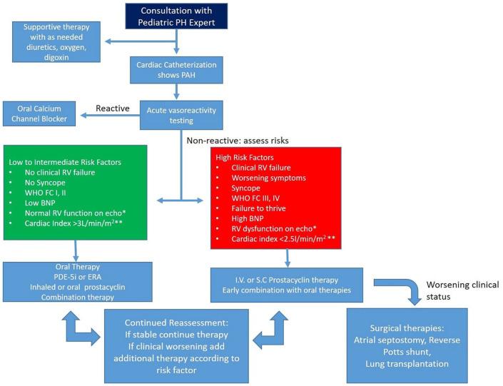 https://cdn.ncbi.nlm.nih.gov/pmc/blobs/1c82/8040614/4232111302f6/10.1177_2333794X211009094-fig2.jpg