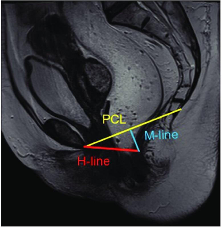 https://cdn.ncbi.nlm.nih.gov/pmc/blobs/1c83/11724573/30ed8b4220a3/12893_2024_2693_Fig4_HTML.jpg
