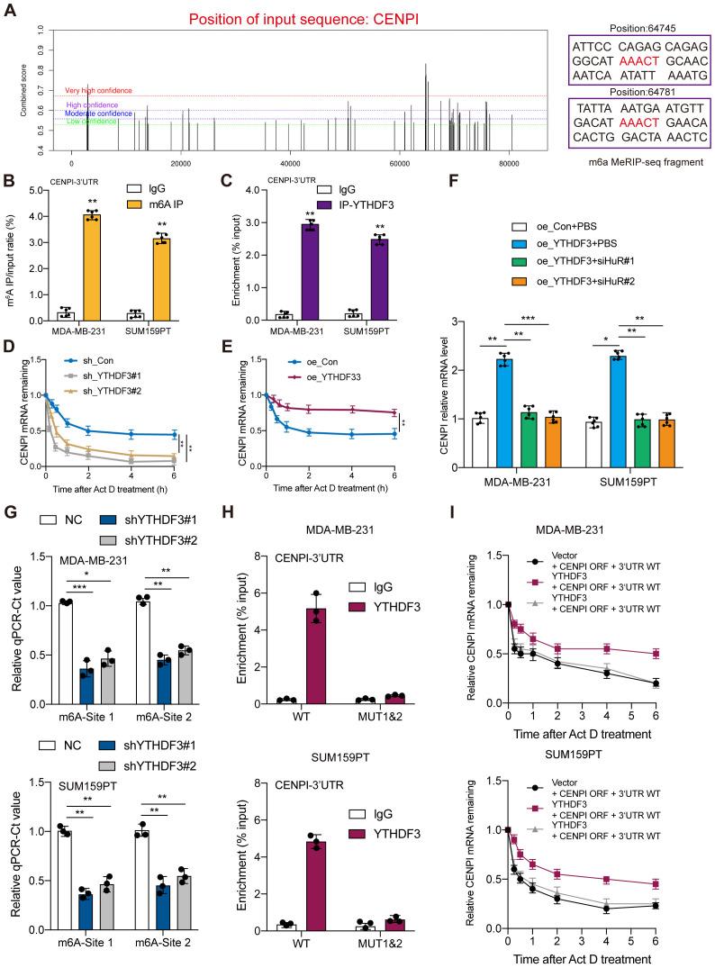 https://cdn.ncbi.nlm.nih.gov/pmc/blobs/1c87/12095154/664fa8f1c542/fonc-15-1546723-g005.jpg