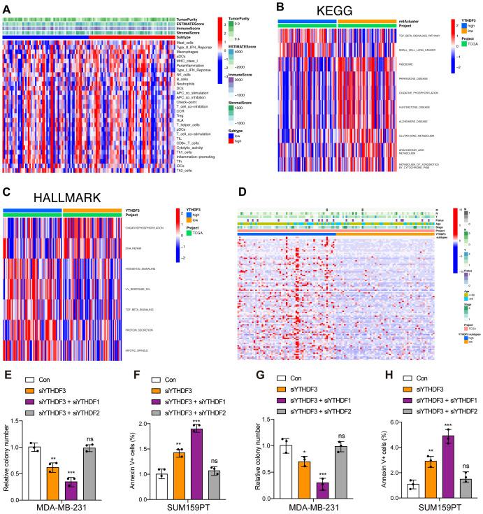 https://cdn.ncbi.nlm.nih.gov/pmc/blobs/1c87/12095154/786ca218f933/fonc-15-1546723-g003.jpg