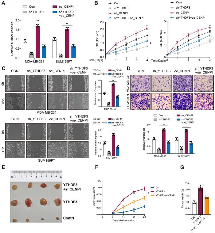 https://cdn.ncbi.nlm.nih.gov/pmc/blobs/1c87/12095154/9ef7d0bd4830/fonc-15-1546723-g006.jpg