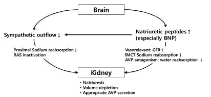 https://cdn.ncbi.nlm.nih.gov/pmc/blobs/1c87/3041486/619521568e43/ebp-7-51-g002.jpg