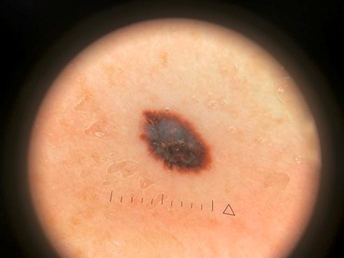 https://cdn.ncbi.nlm.nih.gov/pmc/blobs/1c89/10601805/913c6a88b9a6/cro-2023-0016-0001-534147_F02.jpg