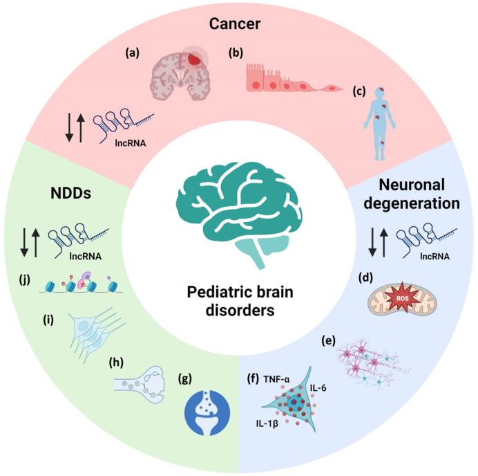 https://cdn.ncbi.nlm.nih.gov/pmc/blobs/1c89/10675345/186963ceddd3/pharmaceuticals-16-01616-g002.jpg