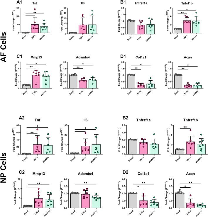https://cdn.ncbi.nlm.nih.gov/pmc/blobs/1c89/12086812/151e9f842da9/JSP2-8-e70070-g006.jpg