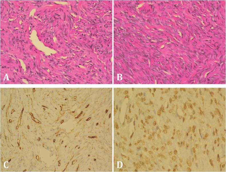 https://cdn.ncbi.nlm.nih.gov/pmc/blobs/1c89/7753083/bab503111112/gr3.jpg