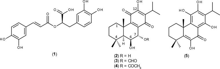 https://cdn.ncbi.nlm.nih.gov/pmc/blobs/1c8b/6648853/1de6952965af/ao-2019-00512m_0004.jpg