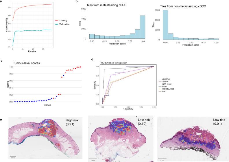 https://cdn.ncbi.nlm.nih.gov/pmc/blobs/1c8d/12405460/19a584800ed1/41698_2025_1065_Fig3_HTML.jpg