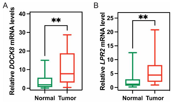 https://cdn.ncbi.nlm.nih.gov/pmc/blobs/1c8d/9966310/b477ce03cd46/vaccines-11-00396-g003.jpg