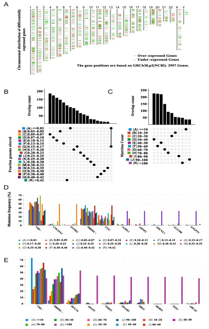 https://cdn.ncbi.nlm.nih.gov/pmc/blobs/1c8d/9966310/f81c9d50052c/vaccines-11-00396-g001.jpg