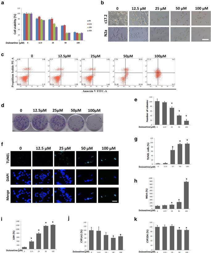 https://cdn.ncbi.nlm.nih.gov/pmc/blobs/1c8e/7591439/899087a69023/12640_2020_216_Fig2_HTML.jpg