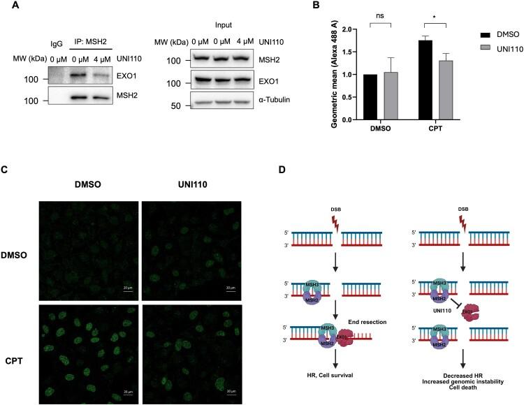 https://cdn.ncbi.nlm.nih.gov/pmc/blobs/1c90/12326383/5f209fd8aa73/TACS_A_2542172_F0004_OC.jpg