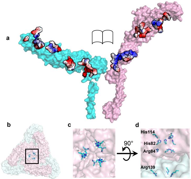 https://cdn.ncbi.nlm.nih.gov/pmc/blobs/1c93/8400090/67b4374615ca/pathogens-10-00973-g003.jpg