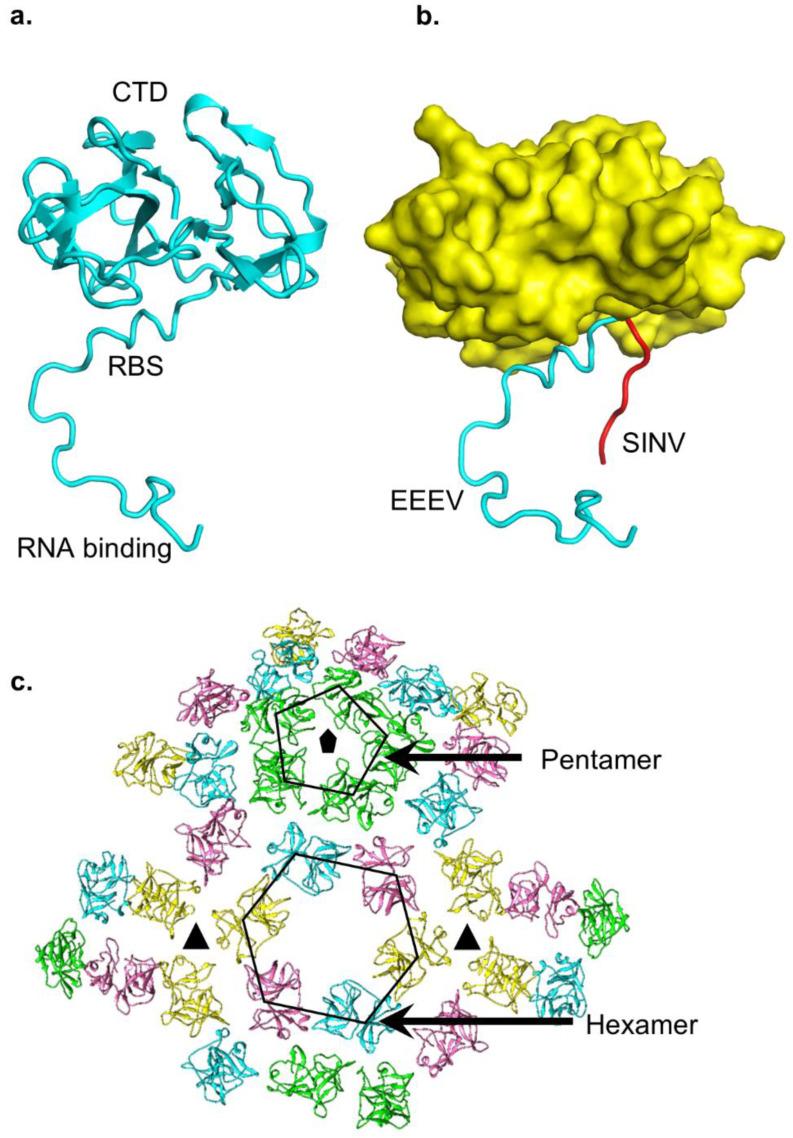 https://cdn.ncbi.nlm.nih.gov/pmc/blobs/1c93/8400090/9ad57e21fa95/pathogens-10-00973-g004.jpg
