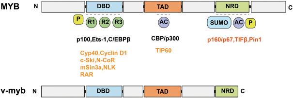 https://cdn.ncbi.nlm.nih.gov/pmc/blobs/1c94/9649744/1195d25ab90d/fphar-13-1014508-g002.jpg