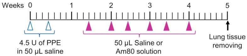 https://cdn.ncbi.nlm.nih.gov/pmc/blobs/1c96/9860907/1fd2cce4042f/pharmaceutics-15-00037-g001.jpg