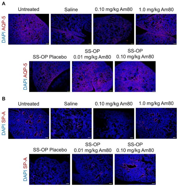 https://cdn.ncbi.nlm.nih.gov/pmc/blobs/1c96/9860907/e410d15a3a01/pharmaceutics-15-00037-g004.jpg