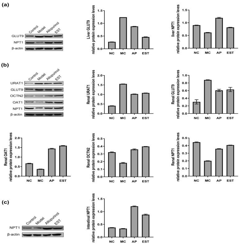 https://cdn.ncbi.nlm.nih.gov/pmc/blobs/1c98/10968862/e050196fb029/foods-13-00840-g003.jpg