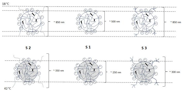 https://cdn.ncbi.nlm.nih.gov/pmc/blobs/1c98/11013650/38d9a8d96cb9/polymers-16-00907-g005.jpg