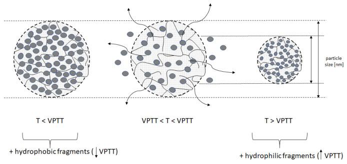 https://cdn.ncbi.nlm.nih.gov/pmc/blobs/1c98/11013650/4345a11ea2f0/polymers-16-00907-g002.jpg