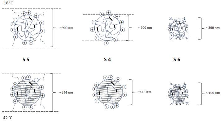 https://cdn.ncbi.nlm.nih.gov/pmc/blobs/1c98/11013650/cb1c0adb28c1/polymers-16-00907-g007.jpg
