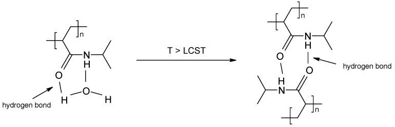 https://cdn.ncbi.nlm.nih.gov/pmc/blobs/1c98/11013650/d703a8819569/polymers-16-00907-g001.jpg
