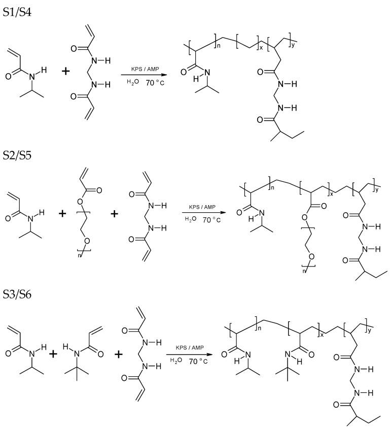 https://cdn.ncbi.nlm.nih.gov/pmc/blobs/1c98/11013650/dee58aa55a87/polymers-16-00907-g003.jpg